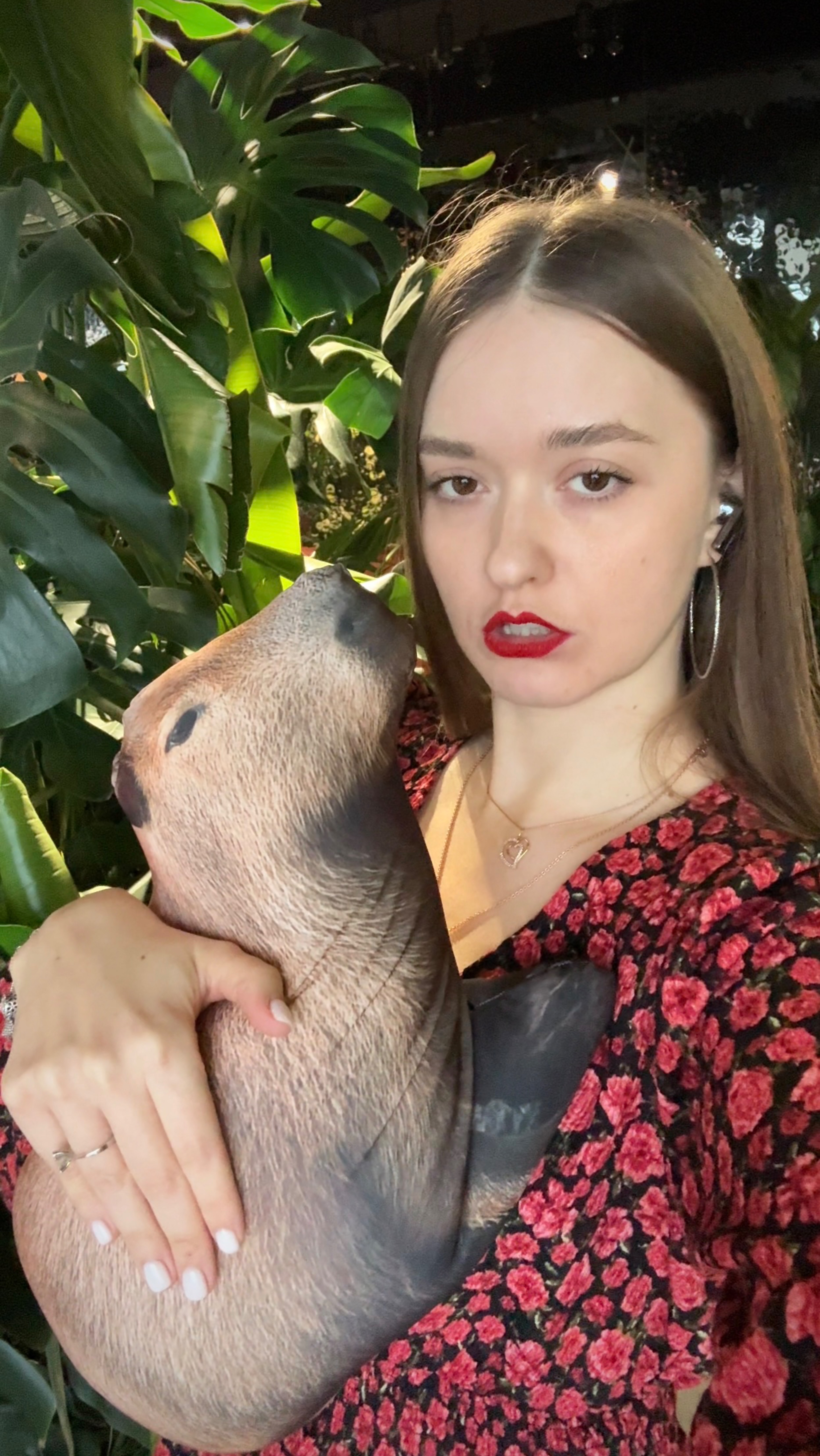 Бобровый тренд 🦫