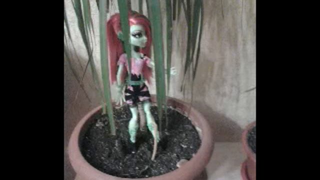 День Венеры! !!!!!.mp4 смотреть онлайн