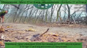 Выглянул глянуть что там жужжит - а там «Князь Вандал»