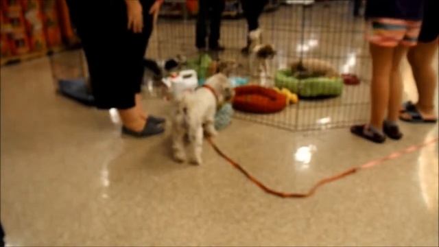 megadyne смотреть онлайн