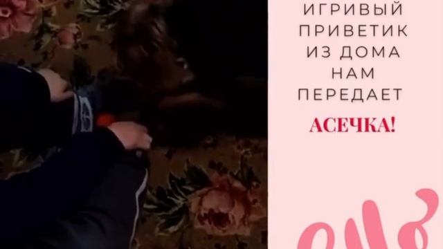 Привет из дома 🏡