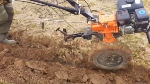Первый раз пашем плугом на мотоблоке "Рысь".