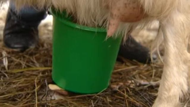 Артист Ильсур Тайсин. смотреть онлайн