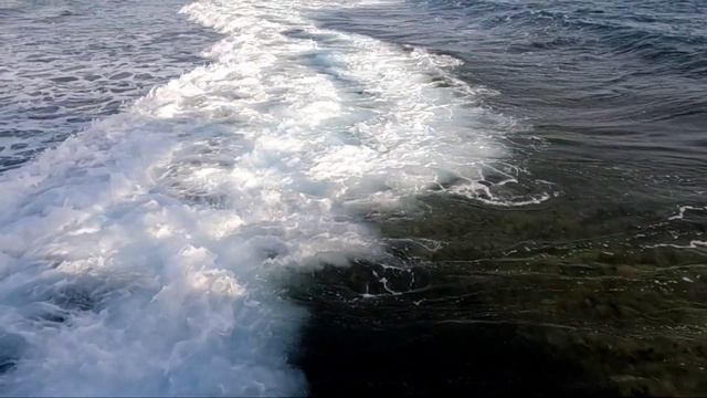 Egipt.Marsa Alam.april 2023. Hotel Jaz Grand Marsa. смотреть онлайн