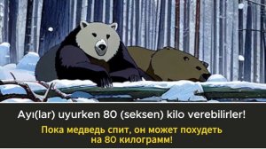 Медленная практика чтения на турецком языке с носителем языка для начинающих - урок 3