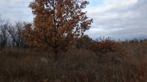 The Planets Rodrigo Club Mix