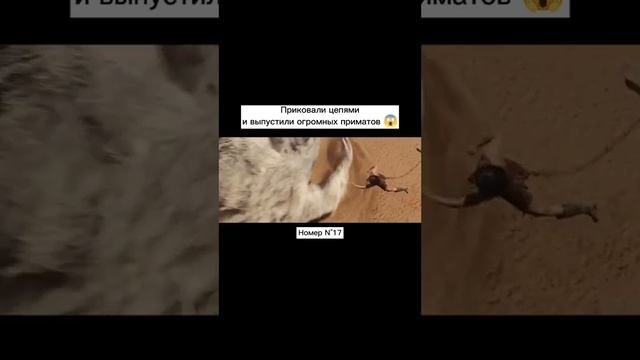 Супер фантастика фильм просто класс. смотреть онлайн