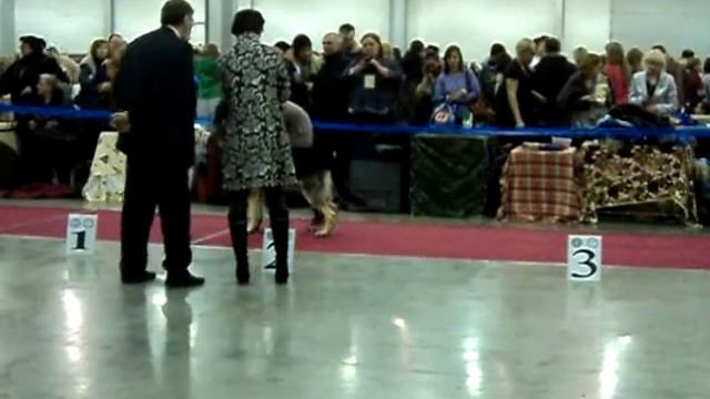 MOV03420.AVI Абрек смотреть онлайн