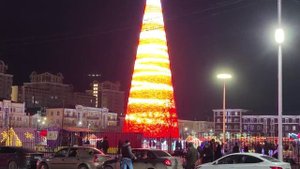 Кот и Елка))) Что еще можно посмотреть на экскурсии по вечернему Грозному