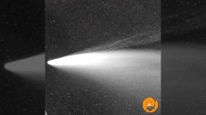 Cometa C/2020 F3 NEOWISE