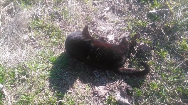 VID_20250130_122701