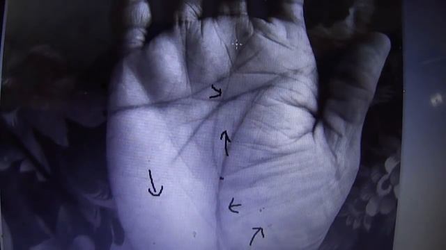 trident appearance on heart line/strong venus/ moon palmistry смотреть онлайн