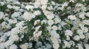 😡 Наглые родственники жили на халяву, а когда приехали к ним погостить, то выставили счет ...