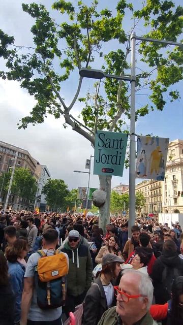 В Барселоне праздник Sant Jordi shortsviral travel shortsvideo испания shorts барселона