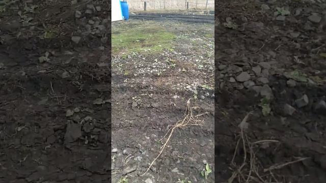 завожу станки и лес смотреть онлайн