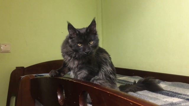 Pluton White King смотреть онлайн