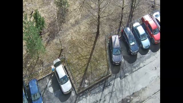 08 апреля 2024 года, Пситеррор РФ, 09 час 44 мин водитель помогайка стряхивает пищевые отходы на кр