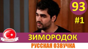 Зимородок 93 серия озвучка на русском языке (Фрагмент №1)