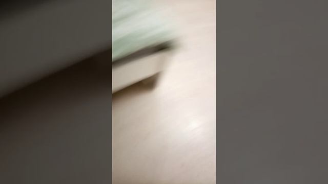 мы с другом в 3 часа ночи страдаем хернёй смотреть онлайн