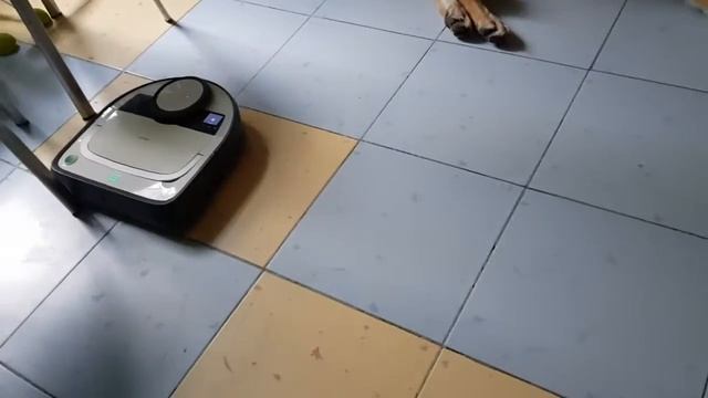 Волк и пылесос смотреть онлайн