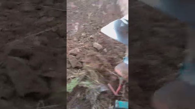 Oranje 2020 Massey Ferguson 165 i Regent 2×12 смотреть онлайн