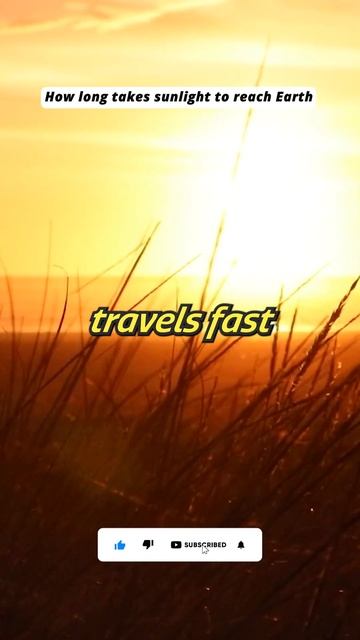How long does sunlight take to reach the earth? #sun #sunlight #earth смотреть онлайн