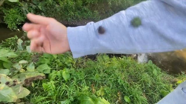 НЛО В МОСКВЕ?! СНЯЛ ВСЕ ДОКАЗАТЕЛЬСТВА… смотреть онлайн