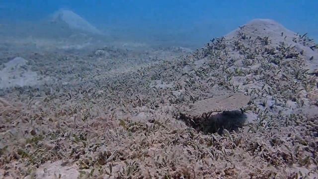 Aurora Bay Resort život v zátoce смотреть онлайн