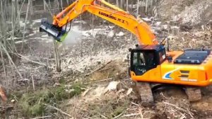 Гусеничный экскаватор Lonking CDM6225F с навесным оборудованием.