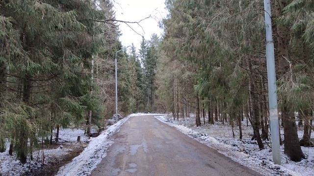 АНАСТАСИЯ. Хочу завести птицу! Мысли вслух смотреть онлайн