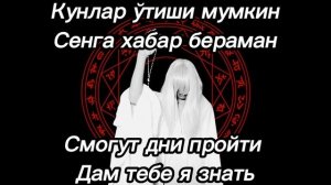 Mr  Kitty- After Dark (текст песни на русском и узбекском языках)  #lirycs #music #текст