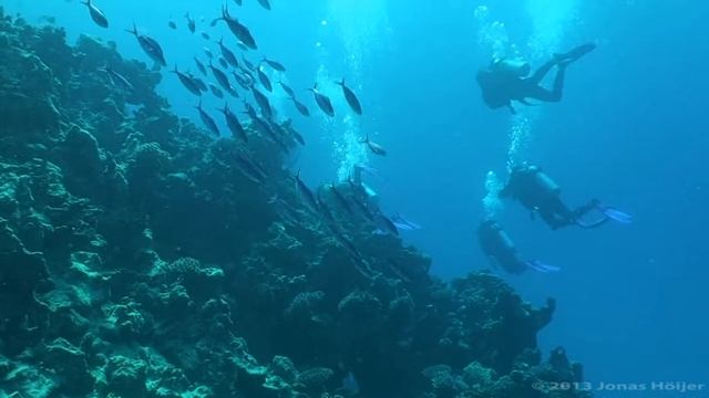 Sportlov 2013 i Marsa Alam, Egypten смотреть онлайн