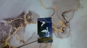 Оракул Полнлуния. Карта 17 - АИСТЫ