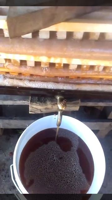 Давим сок смотреть онлайн