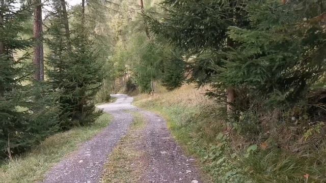 La mejor manera de meditar equilibrio balance en paso simple eficaz смотреть онлайн