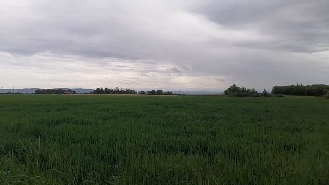 42 кm solo смотреть онлайн