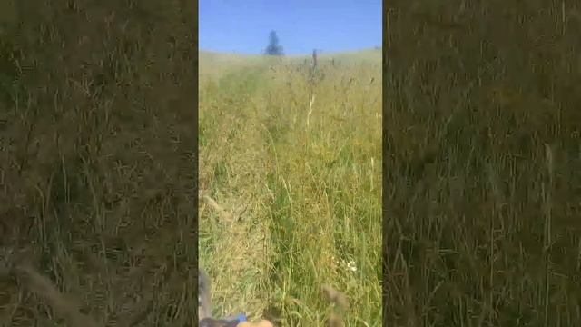 юпитер 5 едет в гору маркаколь 280717.