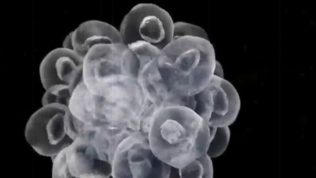 Як з'явилось життя на Землі? Теорія панспермії смотреть онлайн