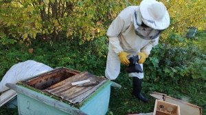 сокращаем улей