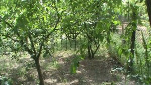 Сериал 🦄 Мия и я 🦄 3 сезон 3 ~Заклинаеие забвения~2часть