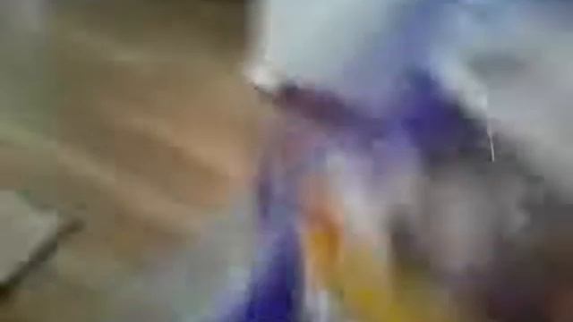 Хомячиха Брусничка и кот Космос смотреть онлайн