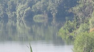 Стрельба на 1000м