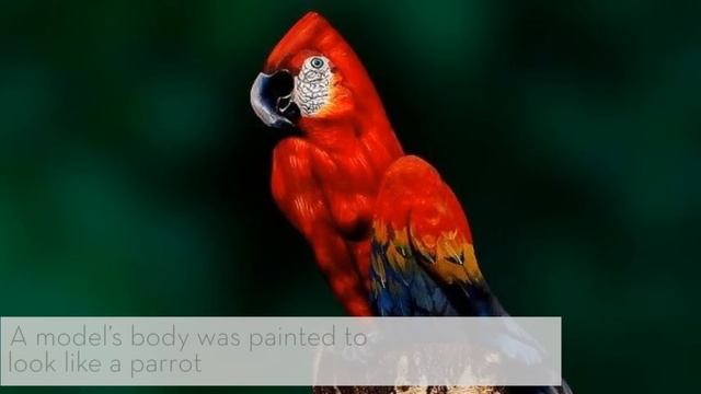 Body Paint | Optical Illusions | Tattoo World смотреть онлайн