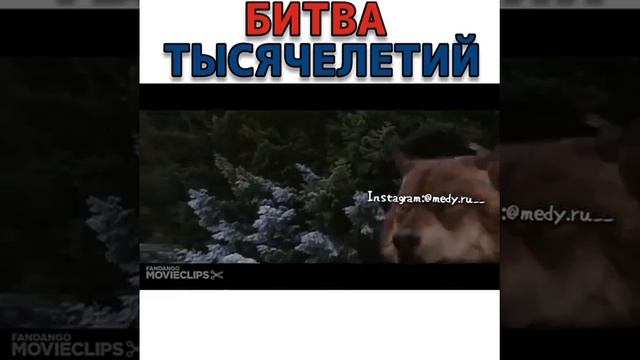 БИТВА ТЫСЯЧЕЛЕТЕЙ// ФИЛЬМ: Сумерки: Рассвет 2 смотреть онлайн