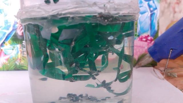 Как сделать подарок блиским на новый год 👍 смотреть онлайн