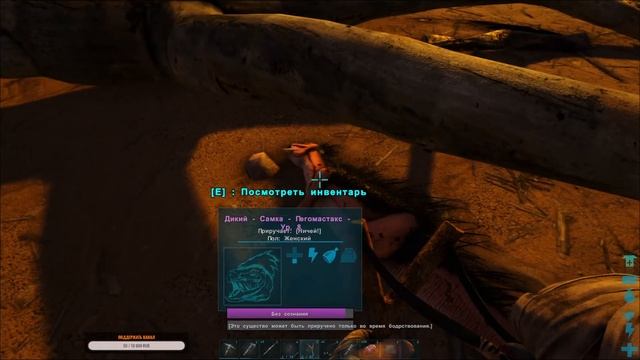 Ark: Survival Evolved - В мире динозавров. Стрим #3. смотреть онлайн