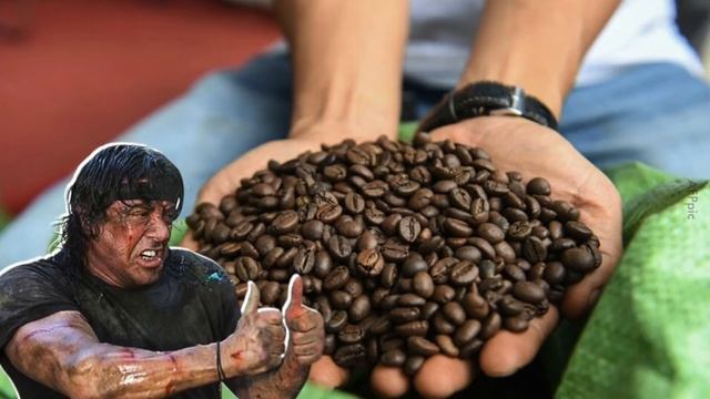 Sejarah Phin Filter dan Kopi Telur Vietnam смотреть онлайн