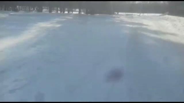 По дороге в бассейн | Позитивчик в #Арсеньеве смотреть онлайн