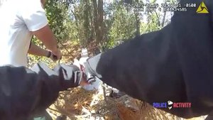 Suspect Crashes into Hillsborough Deputy’s Vehicle While Attempting to Evade Arrest