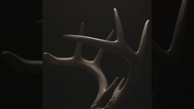 Signal смотреть онлайн